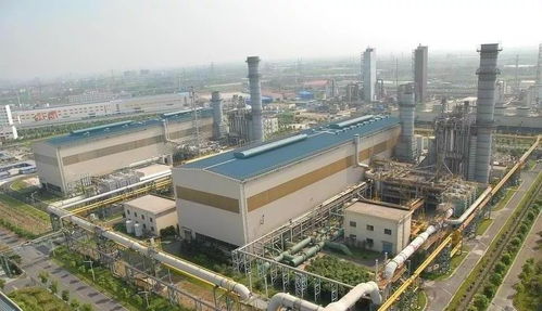 今天，上海連燈光都可溯源 綠色燃?xì)獍l(fā)電機(jī)組點(diǎn)亮智慧都市
