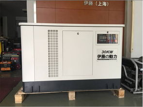 伊藤動(dòng)力30kw汽油與燃?xì)獍l(fā)電機(jī)組報(bào)價(jià)解析及選購指南