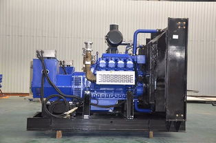 沼氣發(fā)電機(jī)組維修基本原理與燃?xì)獍l(fā)電機(jī)組維護(hù)要點(diǎn)解析